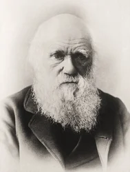Karol Darwin