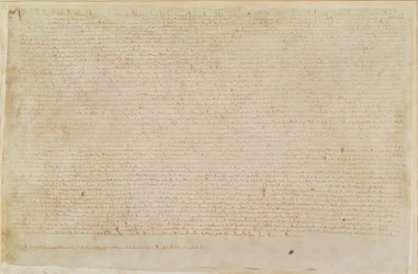 Bawełna Augusta II 106 Magna Carta