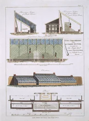 Projekt na dwie brzoskwinie i szklarnię, 1806