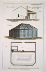 Projekt zielonego domu wykonany dla J. E Liebenrooda w Prospect Hill