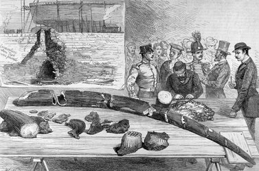 Odkrycie szczątków skamieniałości w Leghorn w Toskanii, z The Illustrated London News, 21 stycznia 1882 r.