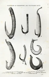 Haczyki na ryby ras prehistorycznych i niecywilizowanych, z „Godziny wypoczynku”, 1888 (rycina)