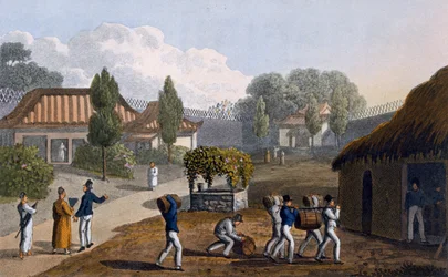 Ogród Świątyni Lewchew, 1820 (kolorowa akwatinta)
