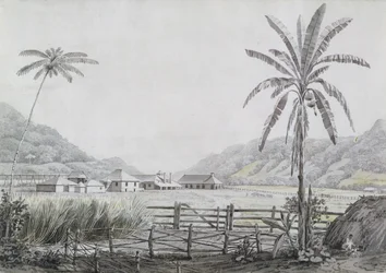 Halse Hall, Jamajka, ok. 1780 (wc i grafit na papierze)
