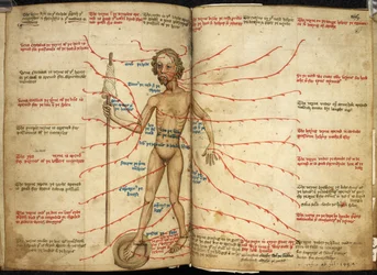 Harley 3719, ff.158v-159 Miniatura mężczyzny upuszczającego krew z jedną nogą na krwawiącej patelni i wrzecionem w dłoni, ilustracja z „Miscellany z różnymi tekstami astronomicznymi, kalendarzowymi, medycznymi i filozoficznymi”