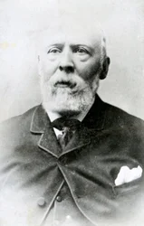 Henryk Wallis (1830-1916)