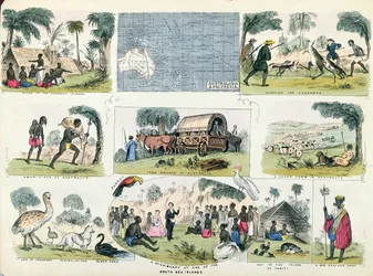 Ilustracje Australii i Polinezji z książki do geografii