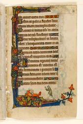 MS 1-2005, k.l. 134r: Lis uciekający z kaczką żon farmerów, marginalna dekoracja z psałterza Macclesfield, Use of Sarum, East Anglia, c.1330