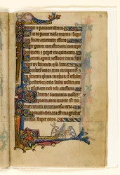 MS 1-2005, k.l. 15r: Zając i pies grający na organach, marginalna dekoracja z Psałterza Macclesfielda, Use of Sarum, East Anglia, c.1330