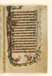 MS 1-2005, k.l. 29r: Dwie ptasie groteski, marginalna dekoracja z psałterza Macclesfielda, Use of Sarum, East Anglia, c.1330
