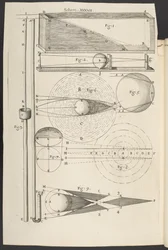 Micrographia lub niektóre fizjologiczne opisy drobnych ciał wykonanych przez szkła powiększające, z obserwacjami i zapytaniami na ich temat”, Robert Hooke