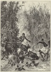 Ekspedycja humanitarna pana H.M. Stanleya Emina Paszy