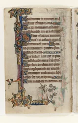 Ms 1-2005, f.175v, z Macclesfield Psalter, Use of Sarum, East Anglia, c.1330 (pióro i atrament oraz tempera na welinie)