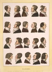 Nabobs, pub.1811 (kolorowy grawerunek)