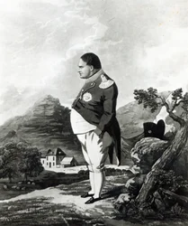 Napoleon na wyspie św. Heleny, 1820