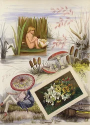 Strona z albumu z okresu późnego wiktoriańskiego (multimedia)