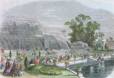 Palmiarnia, Kew (grawerunek)