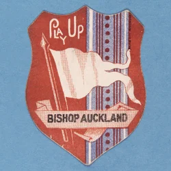 Zagraj w Biskupa Auckland