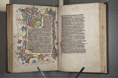 Psałterz z kalendarzem Sarum use, Fol 72 verso fol 73 recto, ok. 1425-75 (tusz, farba i złoto na welinie)