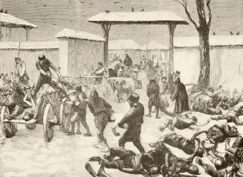 Odzyskiwanie zmarłych po oblężeniu Plewny w Bułgarii w 1877 r. (litho)
