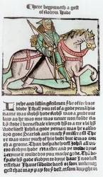 Robin Hood (późniejsze zabarwienie)