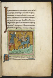 Królewski 12 F.XIII, f.16   Myśliwy strzelający strzałą do zwierzęcia.  Bestiariusz (ff. 3-141), Lapidarium (ff. 141v-149)  2. ćwierć XIII wieku