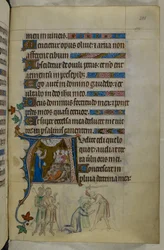 Królewski MS 2 B VII f.288r, z Psałterza Królowej Marii, ok. 1310-20 (welin)