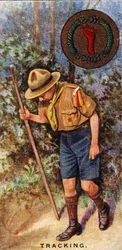 Odznaka harcerska, 1929