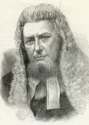 Sir Richard Paul Amphlett (1809-83) z The Illustrated London News 7 lutego 1874