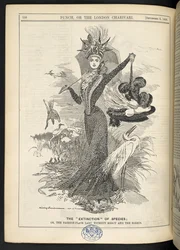 „Wymieranie” gatunków; Albo bezlitosna dama z modnego talerza i czaple, z „Punch, czyli londyński Charivari”, 6 września 1899 (rycina)