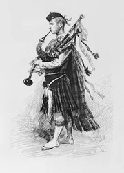 Piper