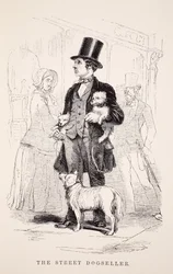 The Street Dog-Seller, ilustracja z London Labour i London Poor autorstwa Henry