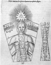 Nauka odlewania horoskopów z „Utriusque Cosmi Historia” Roberta Fludda, wydanie opublikowane w 1618 r. (grafika)