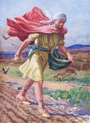 Siewca, z obrazkowej książki biblijnej wydanej przez Thomas Nelson, ok. 1950 r. (kolorowa litografia)