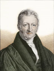 Thomas Robert Malthus (kolorowy grawerunek)