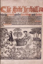Strona tytułowa ilustrująca scenę ogrodową z figurami, 1529