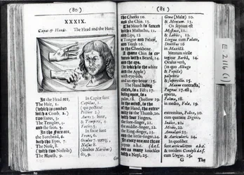 Dwie strony z Orbis Sensual Pictus Comeniusa, 1659