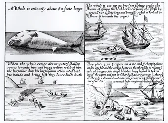 Wielorybnictwo na Spitzbergenie w 1611 r.