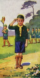 Wilk, 1923