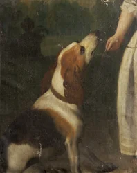 Ogar