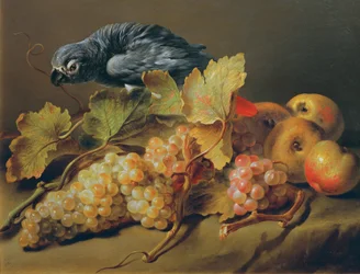 Martwa natura z papugą i winogronami