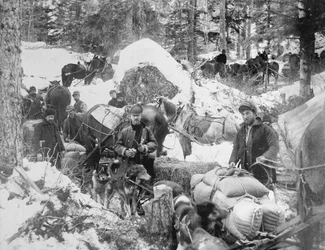 Poszukiwacze złota wchodzący na Porcupine Hill na szlaku Skagway na Alasce podczas gorączki złota w Klondike (1897-98), 1898