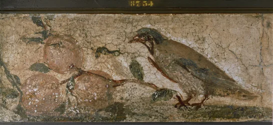 Ptak i owoce z Pompejów, Włochy (mural)