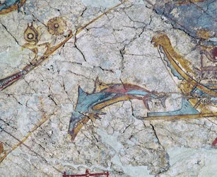 Dziób statku i delfin