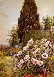 Peonies, Coddington, niedaleko Ledbury (ołówek i akwarela na papierze)