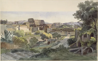 Widok na Forum Romanum z Koloseum w kierunku Lateranu