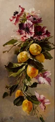Martwa natura