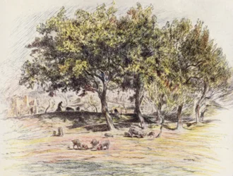 Brat Juniper odcina nogę świni, aby dać ją choremu człowiekowi (kolorowa litografia)