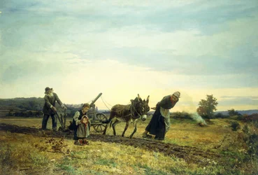 Oranie pól, 1877