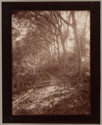 Park w Sceaux